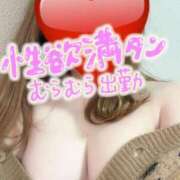 ヒメ日記 2025/04/01 13:03 投稿 めい モアグループ春日部人妻城