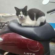 ヒメ日記 2025/04/14 02:48 投稿 空(そら) エッチな熟女(広島)