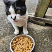 ヒメ日記 2025/07/03 12:38 投稿 空(そら) エッチな熟女(広島)