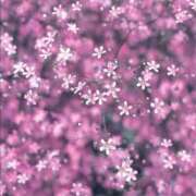 ヒメ日記 2025/07/24 08:50 投稿 空(そら) エッチな熟女(広島)