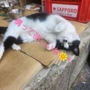 ヒメ日記 2025/08/02 11:36 投稿 空(そら) エッチな熟女(広島)