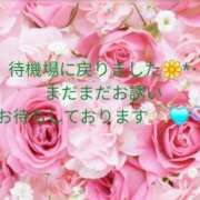 ヒメ日記 2025/08/02 19:50 投稿 空(そら) エッチな熟女(広島)