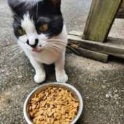 ヒメ日記 2025/08/04 07:20 投稿 空(そら) エッチな熟女(広島)