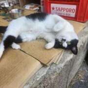 ヒメ日記 2025/08/04 13:00 投稿 空(そら) エッチな熟女(広島)