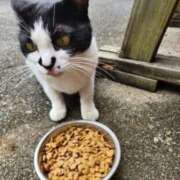 ヒメ日記 2025/08/15 16:48 投稿 空(そら) エッチな熟女(広島)