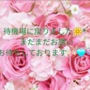 ヒメ日記 2025/08/17 17:28 投稿 空(そら) エッチな熟女(広島)