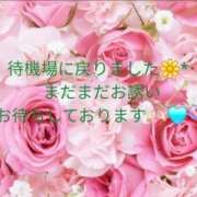 ヒメ日記 2025/08/21 18:30 投稿 空(そら) エッチな熟女(広島)