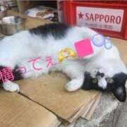 ヒメ日記 2025/10/14 22:10 投稿 空(そら) エッチな熟女(広島)