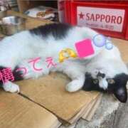 ヒメ日記 2025/10/24 19:00 投稿 空(そら) エッチな熟女(広島)