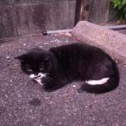 ヒメ日記 2025/11/03 03:40 投稿 空(そら) エッチな熟女(広島)