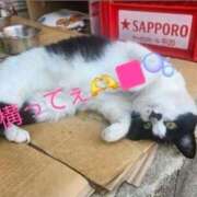 ヒメ日記 2025/11/12 17:20 投稿 空(そら) エッチな熟女(広島)