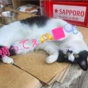 ヒメ日記 2025/11/30 12:31 投稿 空(そら) エッチな熟女(広島)