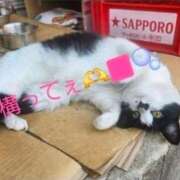 ヒメ日記 2026/04/08 21:16 投稿 空(そら) エッチな熟女(広島)