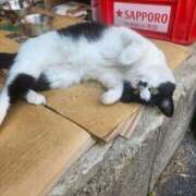 ヒメ日記 2026/04/18 22:30 投稿 空(そら) エッチな熟女(広島)