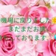 ヒメ日記 2026/04/23 23:31 投稿 空(そら) エッチな熟女(広島)