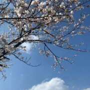 ヒメ日記 2025/04/08 19:14 投稿 まう マリンマリン