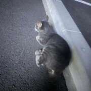 ヒメ日記 2025/09/10 13:04 投稿 まう マリンマリン