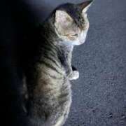 ヒメ日記 2025/09/21 11:54 投稿 まう マリンマリン