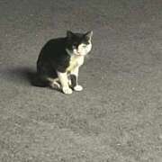 ヒメ日記 2025/09/25 16:44 投稿 まう マリンマリン