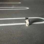 ヒメ日記 2025/10/23 23:54 投稿 まう マリンマリン