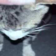 ヒメ日記 2025/11/18 17:32 投稿 まう マリンマリン