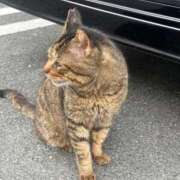 まう しゅ マリン熊本本店