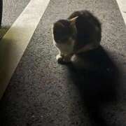 ヒメ日記 2025/12/20 09:34 投稿 まう マリンマリン