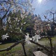 ヒメ日記 2025/04/30 10:17 投稿 ルイ★新人 人妻生レンタル-石巻-