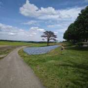 ヒメ日記 2025/06/04 10:06 投稿 ルイ★新人 人妻生レンタル-石巻-