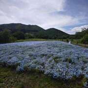 ヒメ日記 2025/06/11 10:07 投稿 ルイ★新人 人妻生レンタル-石巻-