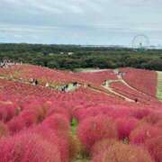 ヒメ日記 2025/10/29 10:06 投稿 ルイ★新人 人妻生レンタル-石巻-