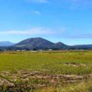 ヒメ日記 2025/11/19 10:06 投稿 ルイ★新人 人妻生レンタル-石巻-