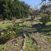 ヒメ日記 2025/11/26 10:06 投稿 ルイ★新人 人妻生レンタル-石巻-