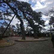 ヒメ日記 2026/03/11 12:16 投稿 ルイ★新人 人妻生レンタル-石巻-