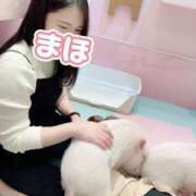 ヒメ日記 2025/06/28 23:48 投稿 まほ ノーパンエステ!?絶頂させる天使たち