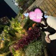 ヒメ日記 2025/07/04 23:38 投稿 まほ ノーパンエステ!?絶頂させる天使たち