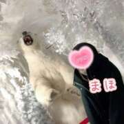 ヒメ日記 2025/12/20 23:28 投稿 まほ ノーパンエステ!?絶頂させる天使たち