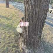 ヒメ日記 2026/04/24 11:38 投稿 まほ ノーパンエステ!?絶頂させる天使たち