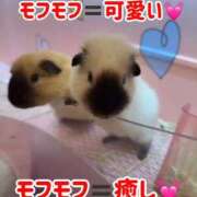 ヒメ日記 2026/07/12 00:18 投稿 まほ ノーパンエステ!?絶頂させる天使たち