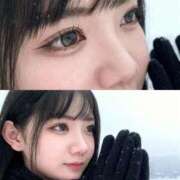 ヒメ日記 2025/11/21 06:25 投稿 めめ 若葉