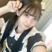 ヒメ日記 2025/11/22 19:15 投稿 めめ 若葉