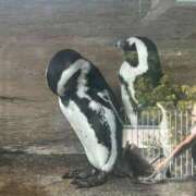 ヒメ日記 2025/11/23 06:18 投稿 めめ 若葉