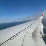 ヒメ日記 2025/12/20 16:25 投稿 めめ 若葉