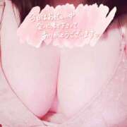 ヒメ日記 2025/04/26 12:04 投稿 あいこ 茨城神栖ちゃんこ