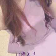 ヒメ日記 2025/04/03 12:52 投稿 七瀬ふうか ウフフな40。ムフフな50。。（横浜ハレ系）