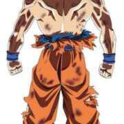 ヒメ日記 2026/02/28 23:09 投稿 七瀬ふうか ウフフな40。ムフフな50。。（横浜ハレ系）