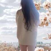 ヒメ日記 2026/03/11 23:37 投稿 七瀬ふうか ウフフな40。ムフフな50。。（横浜ハレ系）