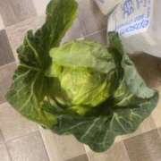 ヒメ日記 2026/03/12 22:51 投稿 七瀬ふうか ウフフな40。ムフフな50。。（横浜ハレ系）