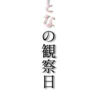 ヒメ日記 2026/03/30 07:02 投稿 七瀬ふうか ウフフな40。ムフフな50。。（横浜ハレ系）