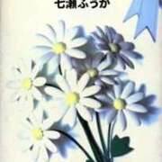ヒメ日記 2026/04/14 11:09 投稿 七瀬ふうか ウフフな40。ムフフな50。。（横浜ハレ系）